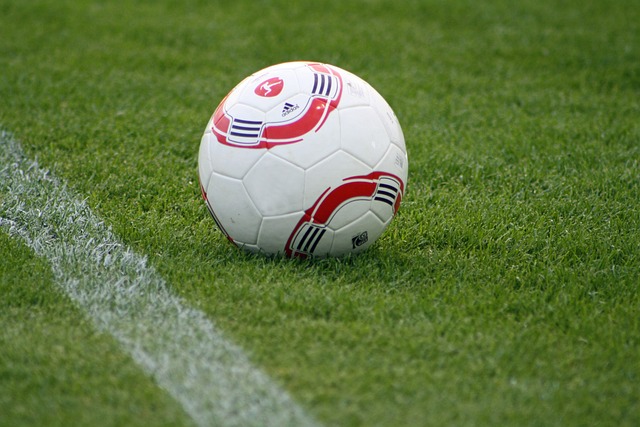 球迷的关注 球迷的关注