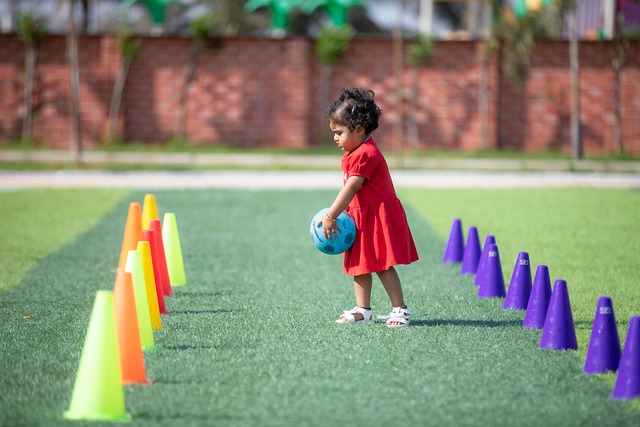 一些篮球专 一些篮球专