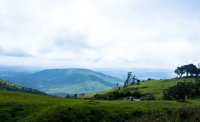 团队的深厚 团队的深厚