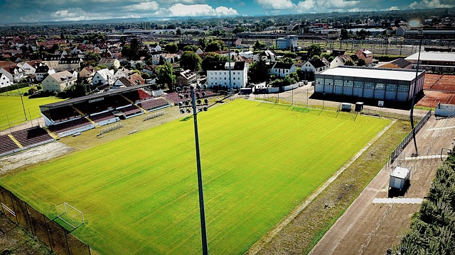 活动不仅使 活动不仅使