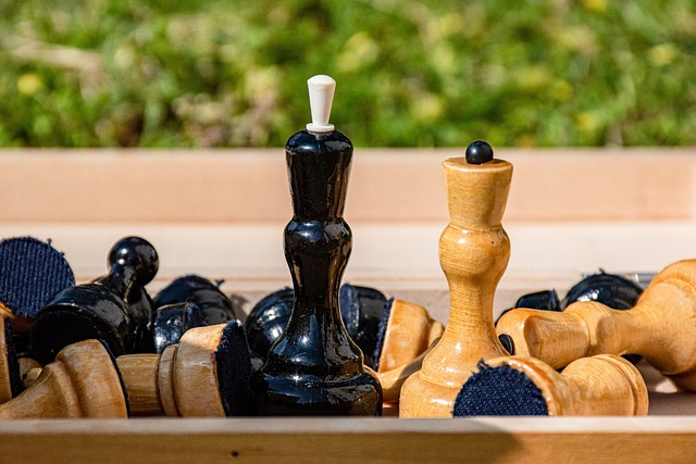 在比赛中 在比赛中