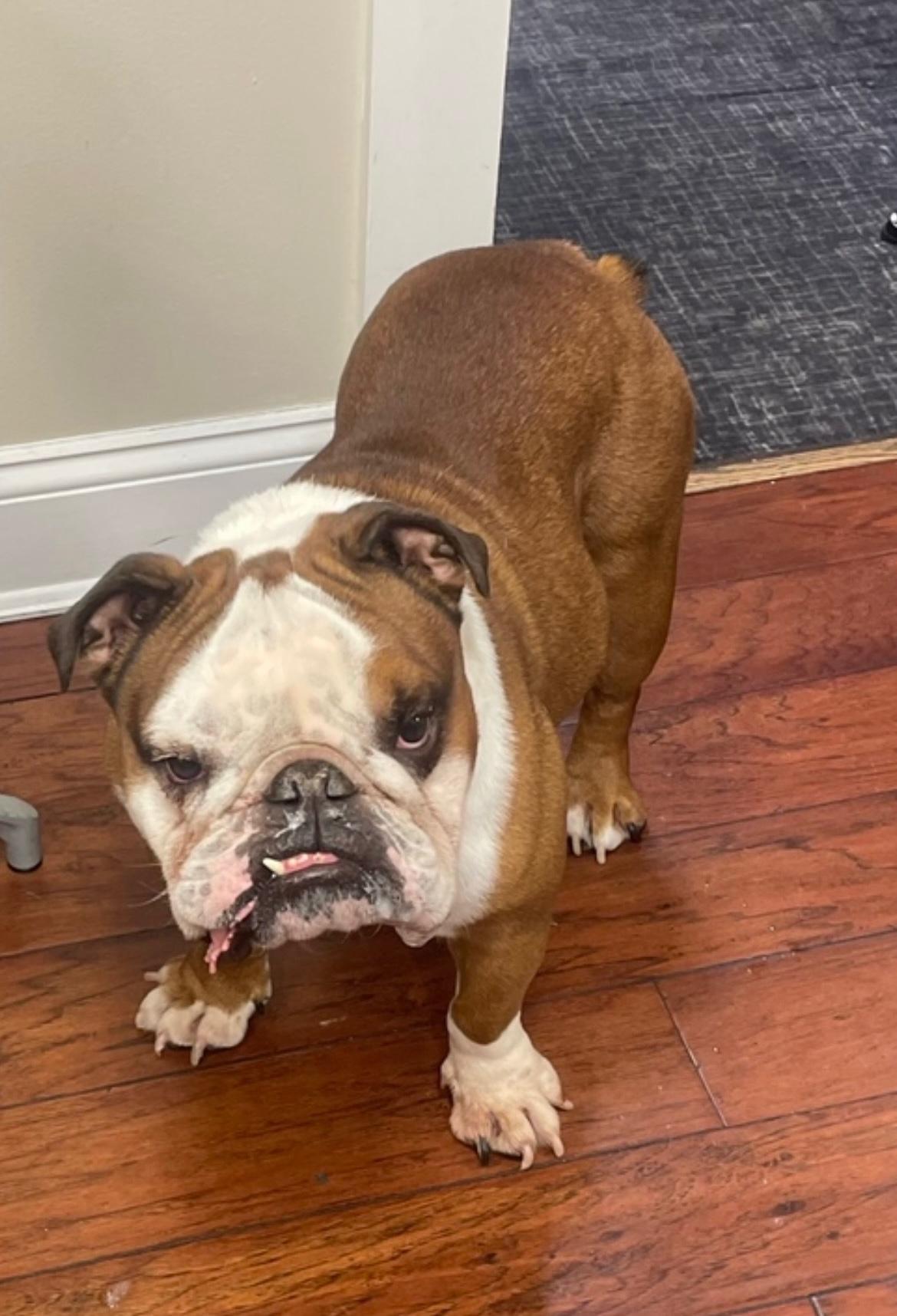 人未能在合 人未能在合