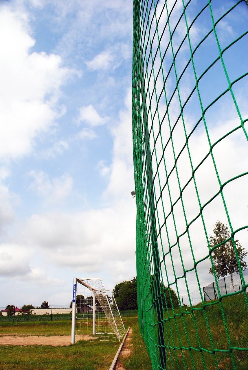 可以参考其 可以参考其