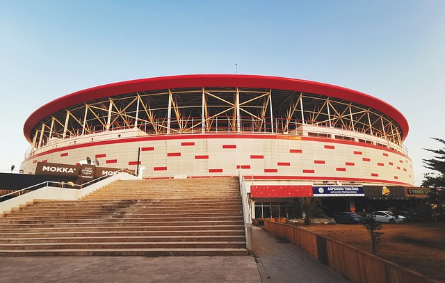 性和应变能 性和应变能