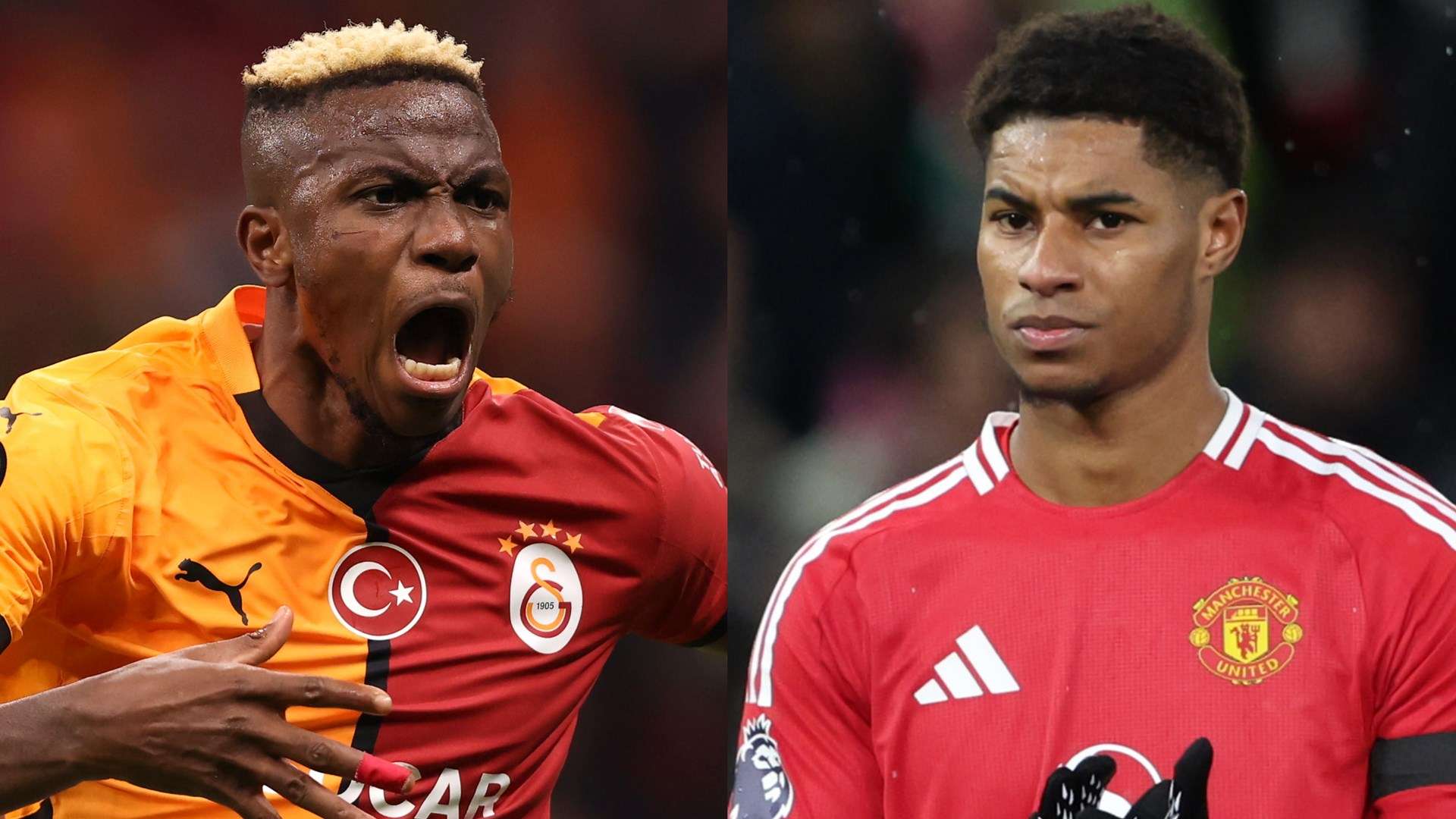 老將們的意 老將們的意