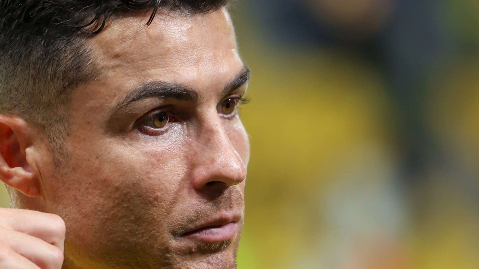 一场完全体 一场完全体