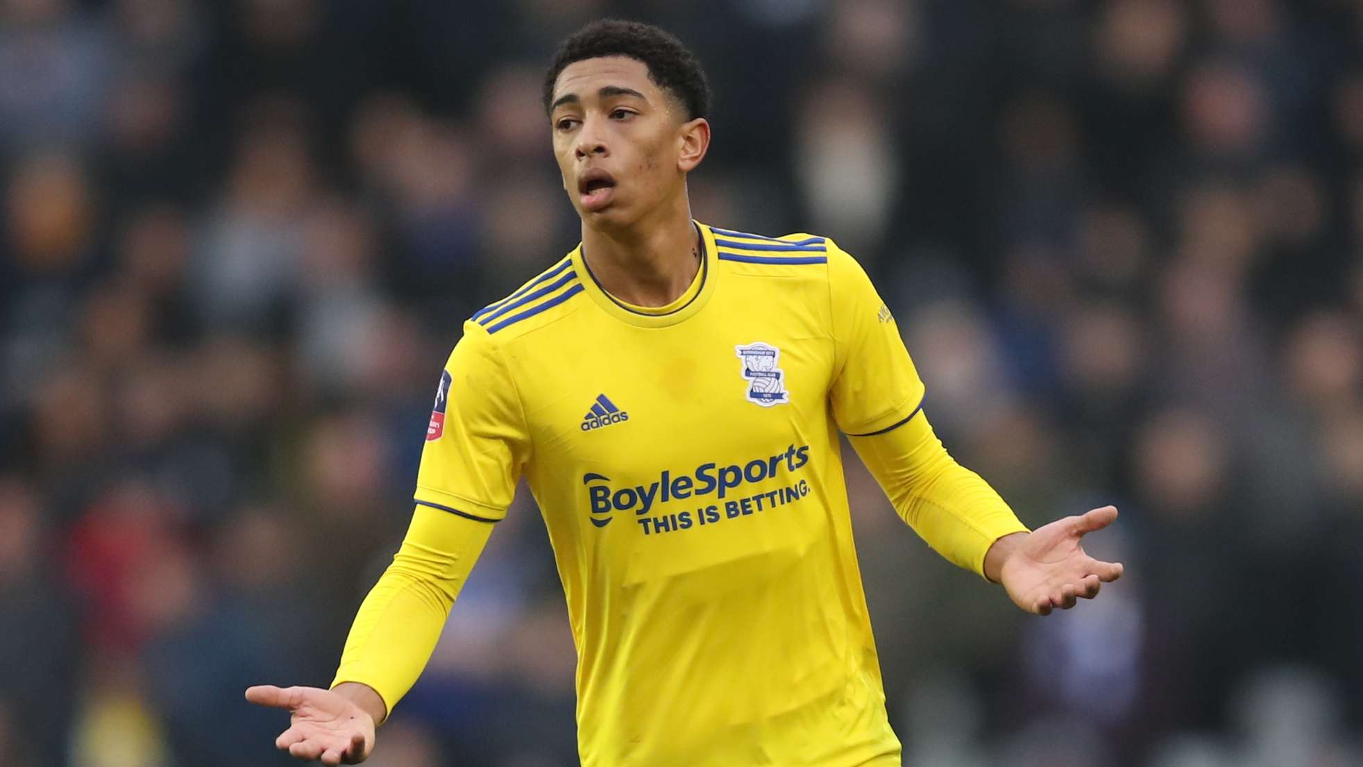 總結來說 總結來說