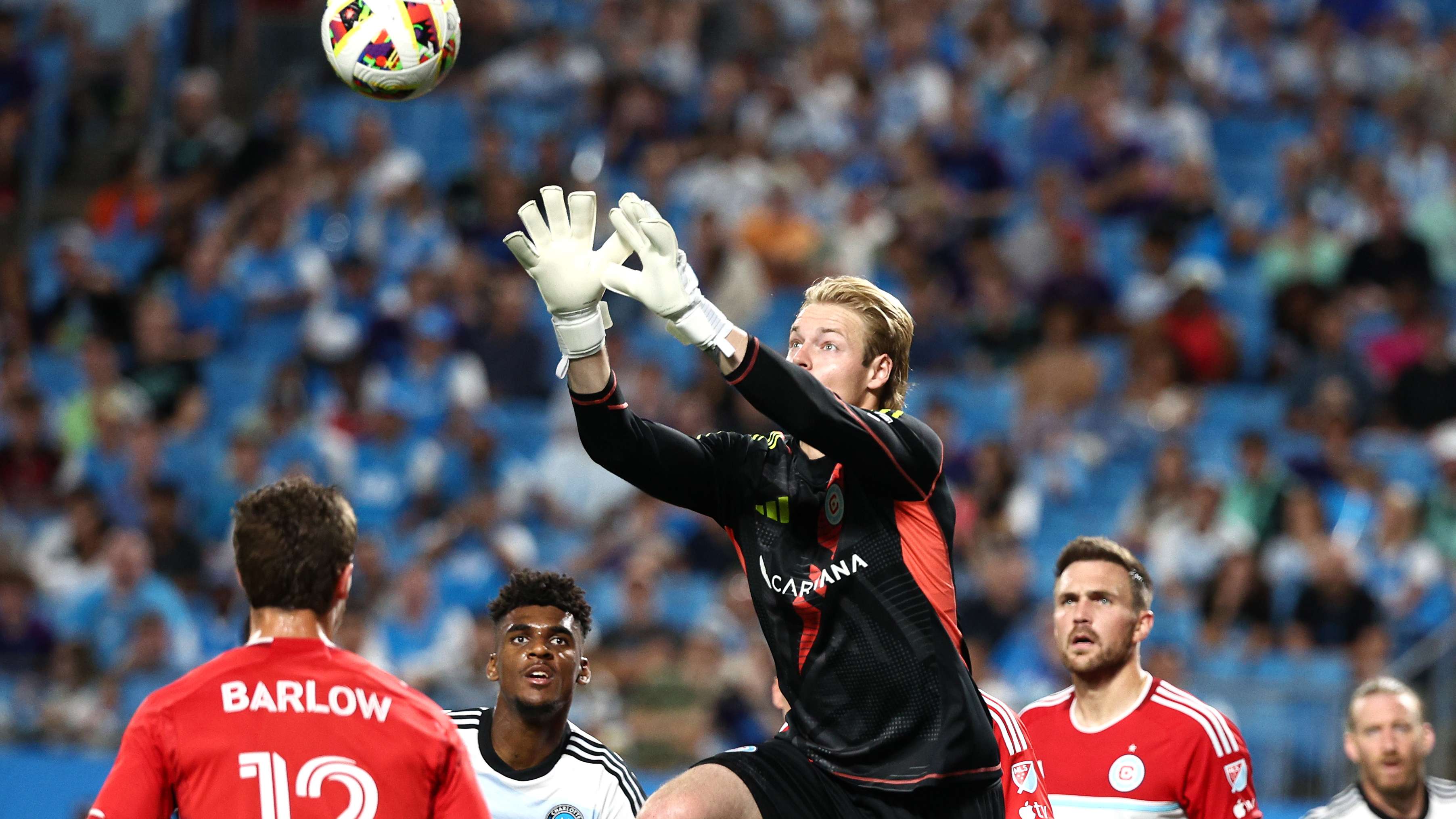 明度标准和 明度标准和